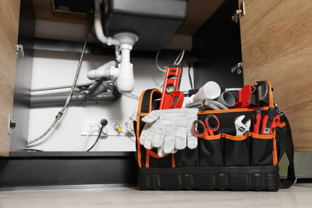 Best Leak Detection Services  in Herculaneum, MO