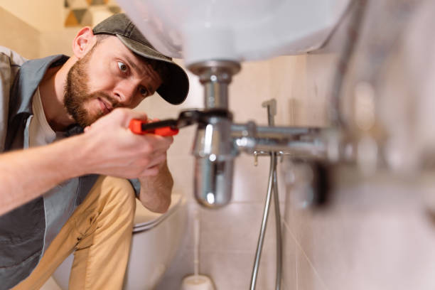 Best Plumbing Inspection Services  in Herculaneum, MO