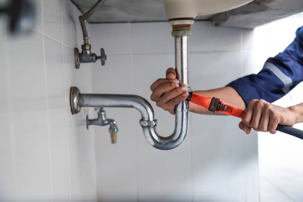 Best Local Plumber Services  in Herculaneum, MO