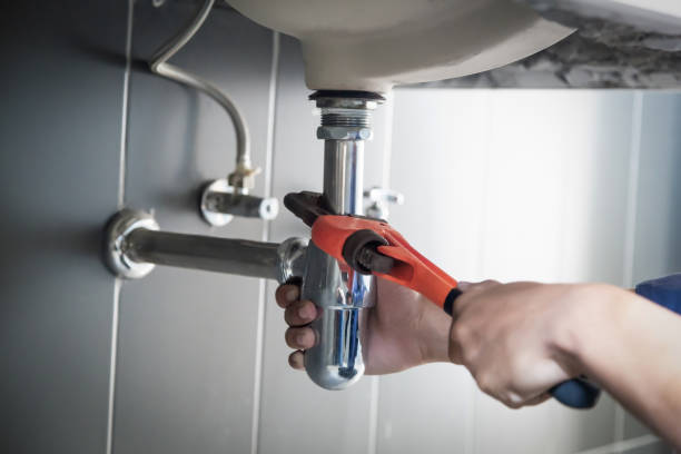 Best Plumbing Services Near Me  in Herculaneum, MO