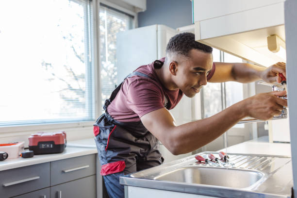 Best Clogged Drain Plumber  in Herculaneum, MO